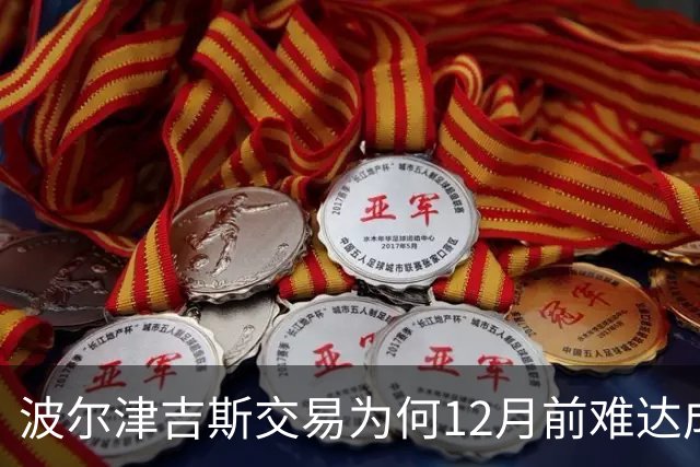 波尔津吉斯交易为何12月前难达成？美记点出两大障碍