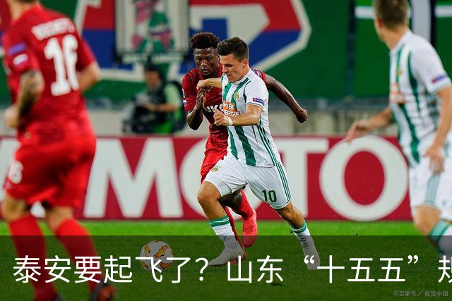 泰安要起飞了？山东“十五五”规划直接点名泰山！